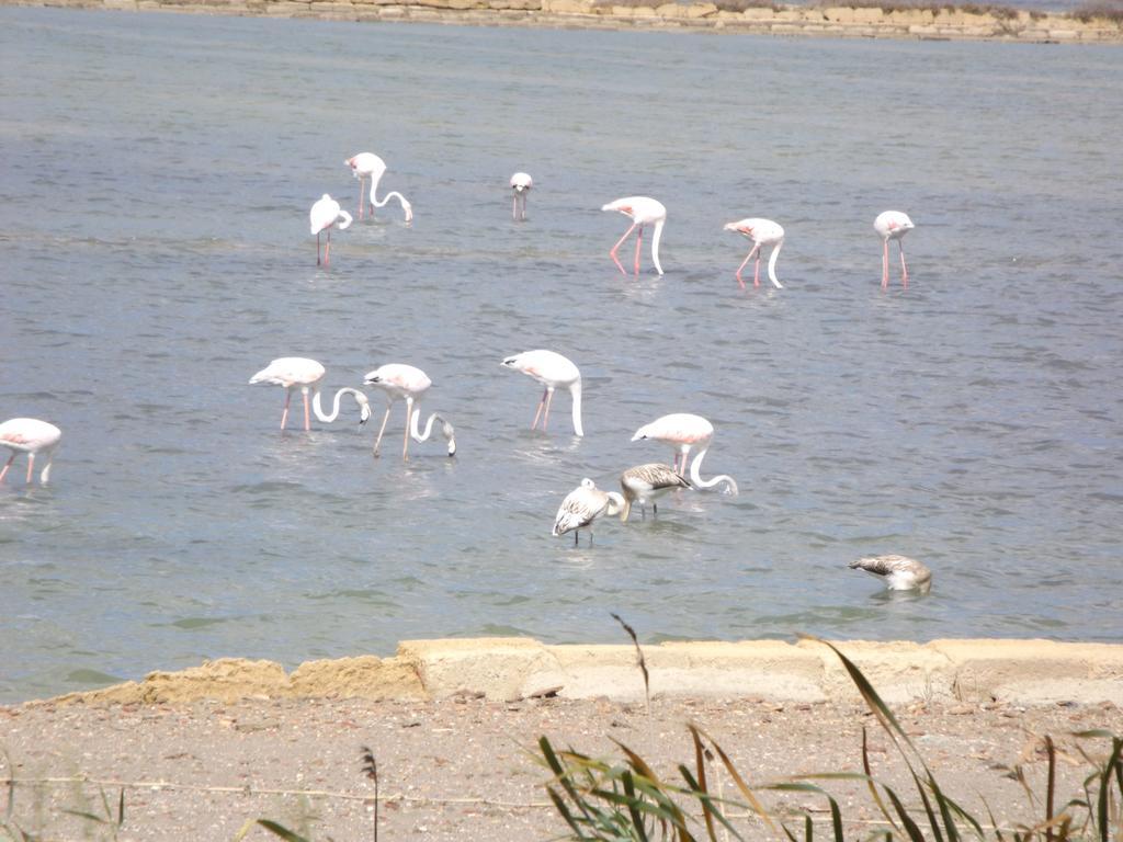 Case Vacanza Torre Lupa Marsala Phòng bức ảnh